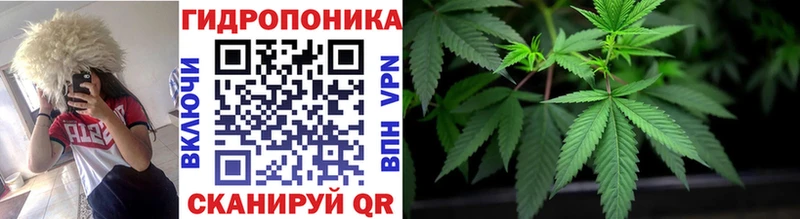 Где найти наркотики Аткарск КОКАИН  Псилоцибиновые грибы  Гашиш  Канабис  МЕФ  MEGA как войти  Альфа ПВП 