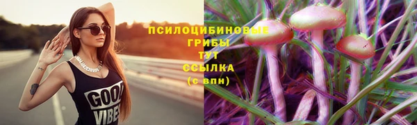 таблы Алексеевка