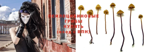не бодяженный Абаза