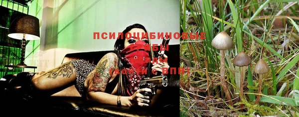 не бодяженный Абаза