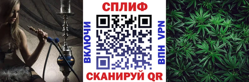 Конопля гибрид Аткарск